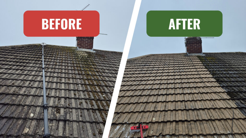 Roof Cleaning & Coatings
